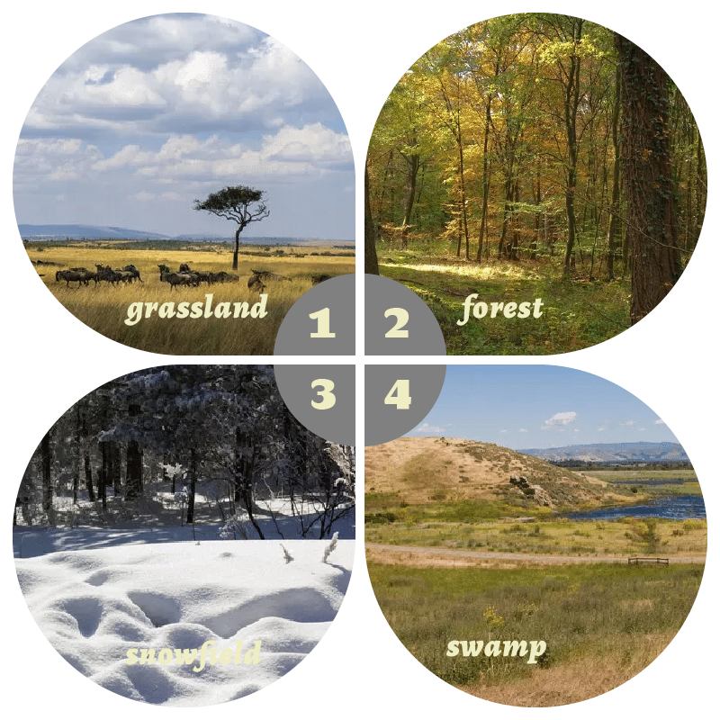 Camouflage Pop-Up Hunting Blin – Hunting & Outdoor Supplies Photos Bewertung und Preis