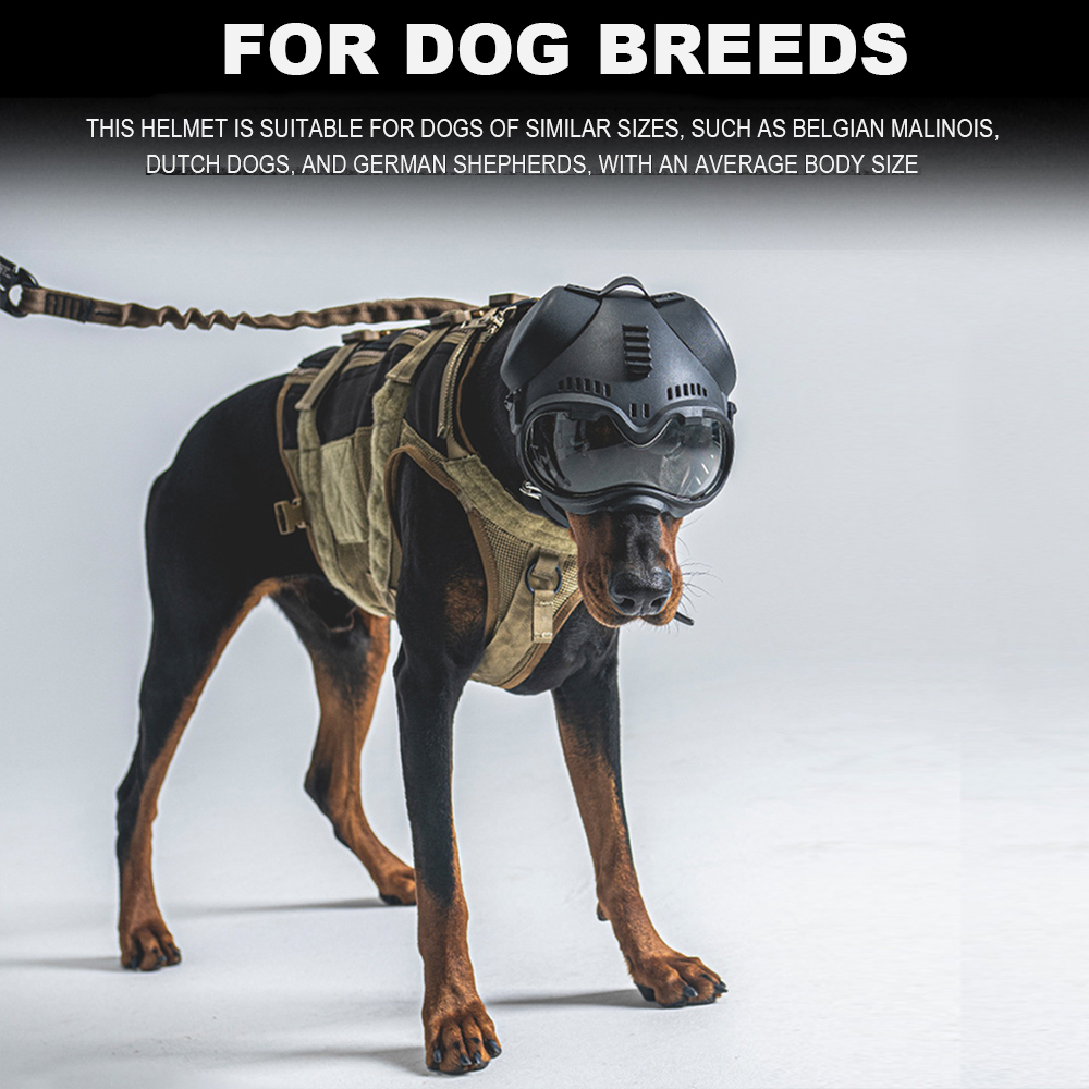 Tactical Dog Outdoor Hunting T – Hunting Dog Outdoor Bewertung und Preis
