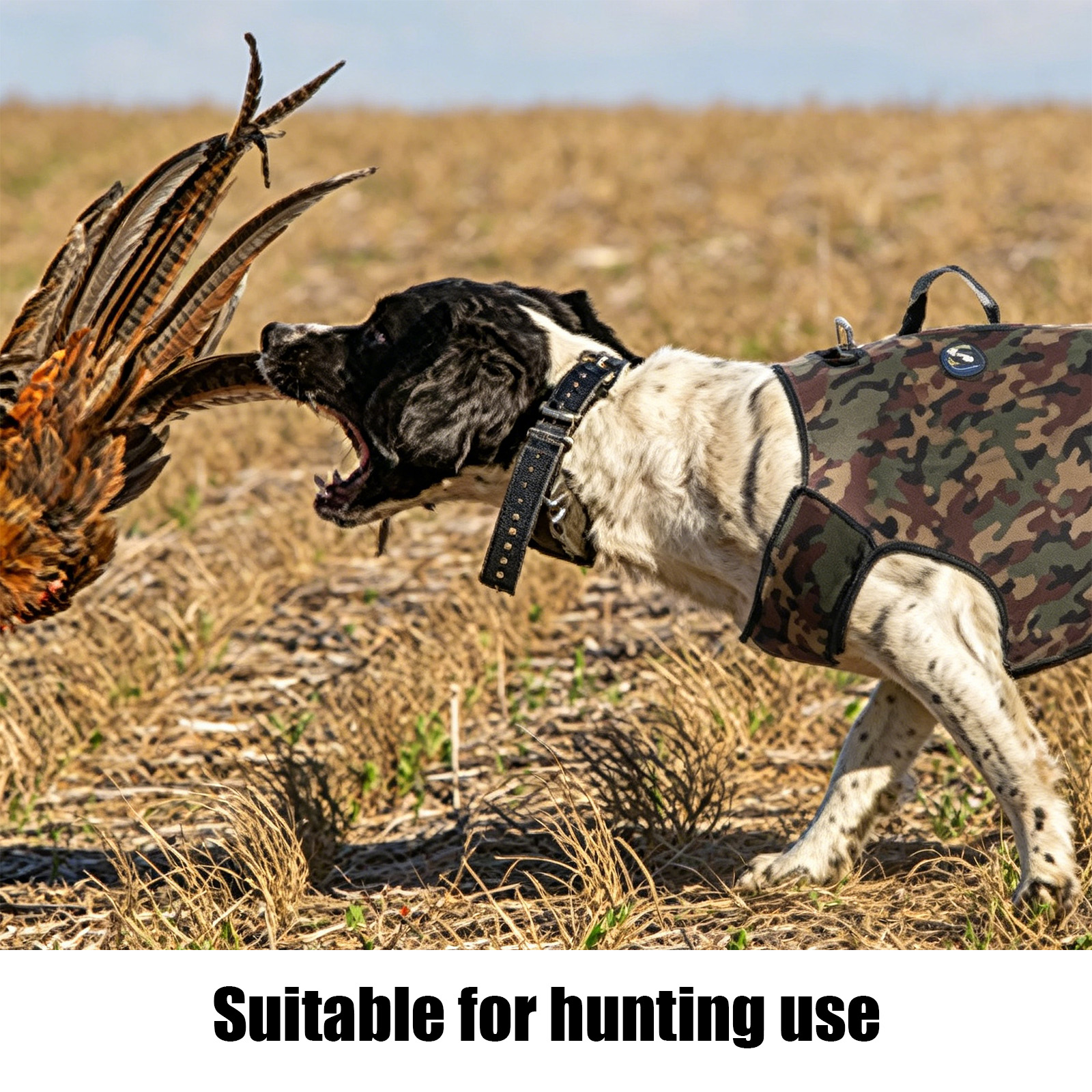 Camouflage Hunting Dog Clothes – Hunting Dog Outdoor Bewertung und Preis