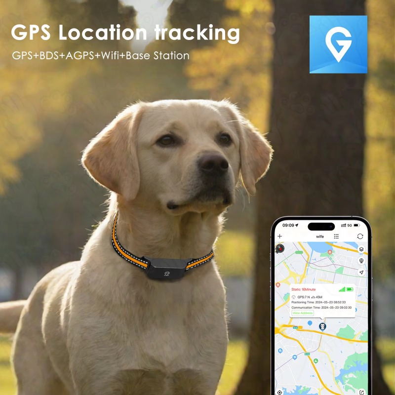 Dog GPS Tracker Outdoor Campin – Hunting Dog Outdoor Bewertung und Preis