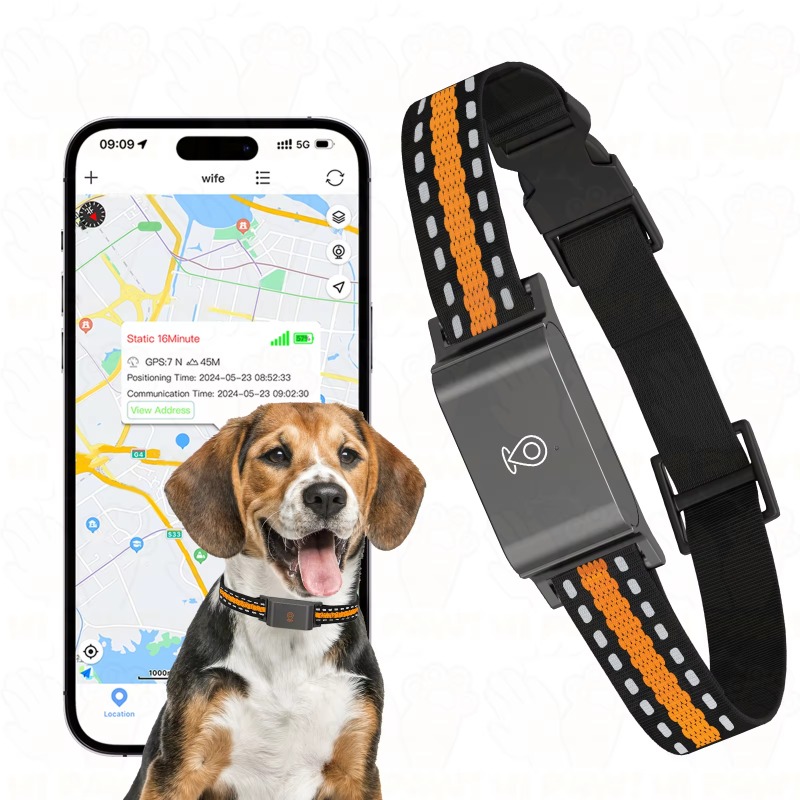Dog GPS Tracker Outdoor Campin – Hunting Dog Outdoor Bewertung und Preis